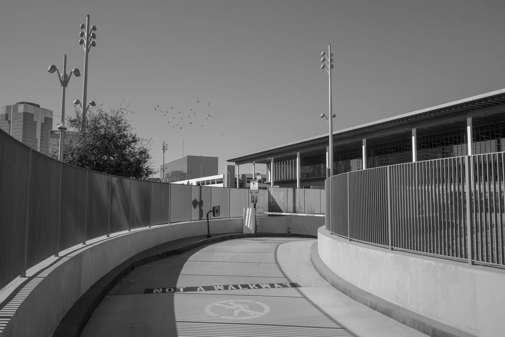 11-2025_LongBeach_464.jpg