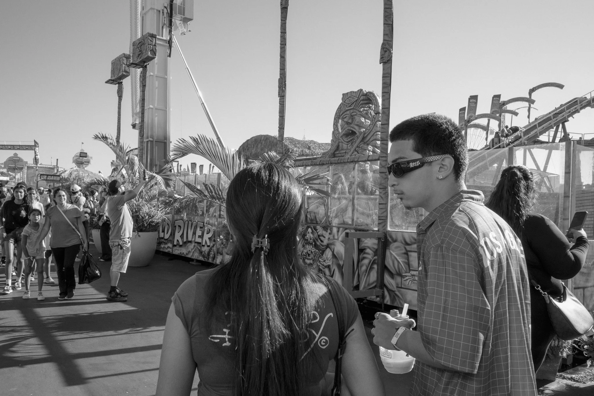 Crowd of people at an amusement park with rides and themed decorations, including a large lion face sculpture, on a sunny day.