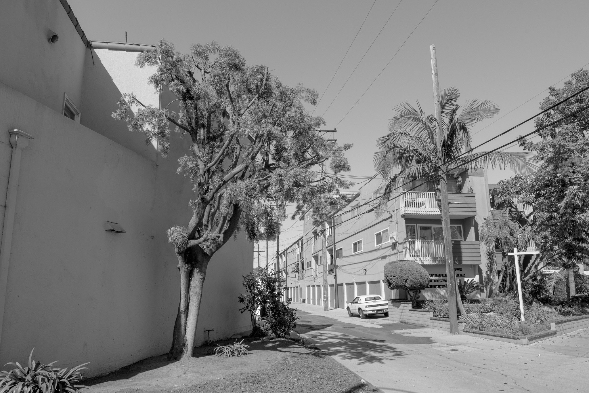 2026-03_LongBeach_053.jpg