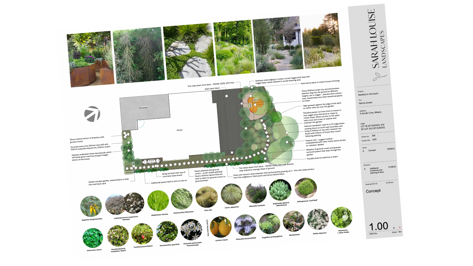 Untitled design (2).png