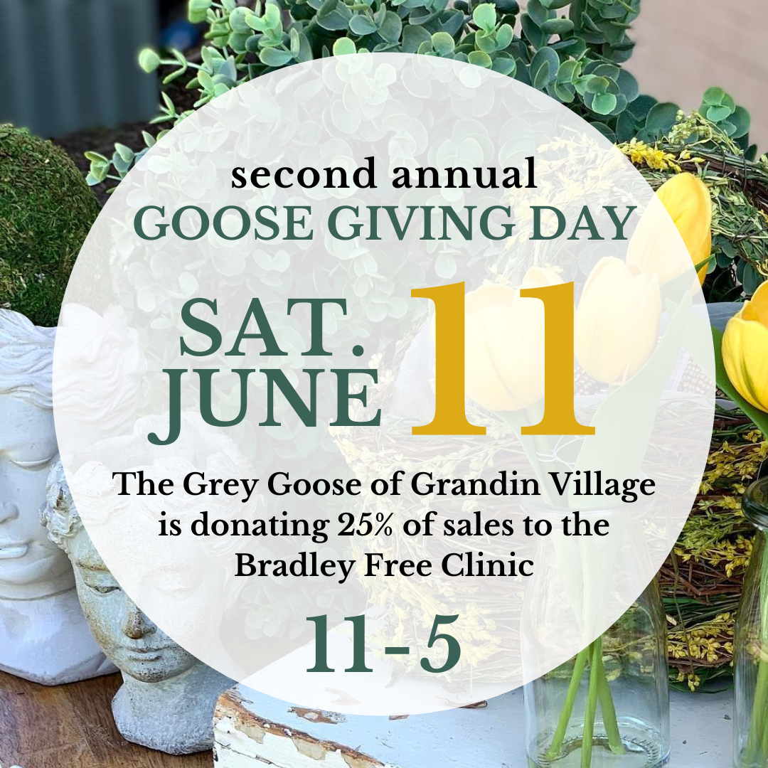 Copy of GRANDIN VILLAGE.png