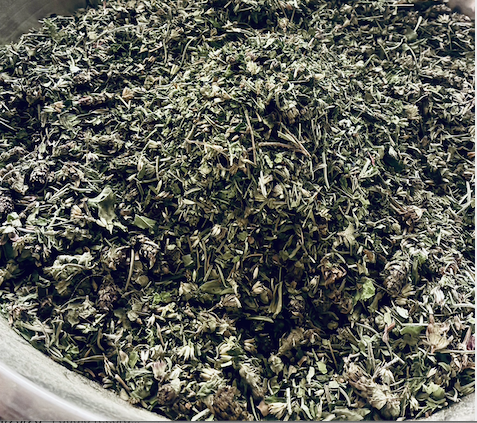 Screen Shot 2026-02-23 at 3.28.35 PM.png