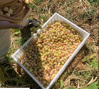 Screen Shot 2026-02-14 at 3.32.00 PM.png