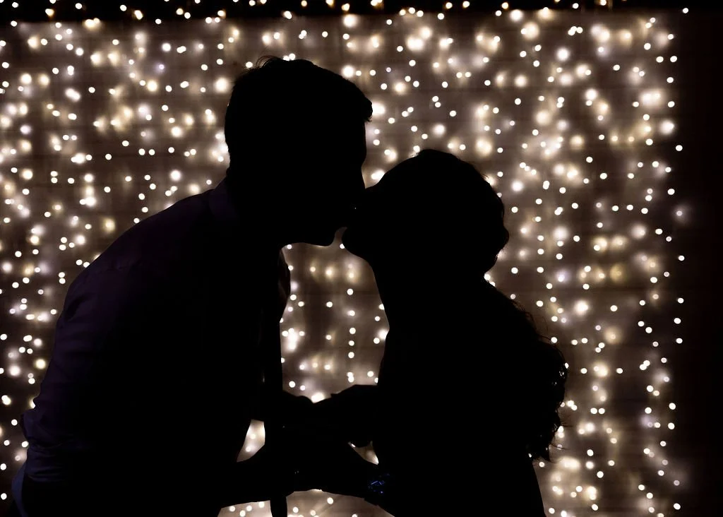 Bride and groom silhouette in front of a waterfall light wall at Gedney Farm, New Marlborough MA, by Berkshire Event Lighting