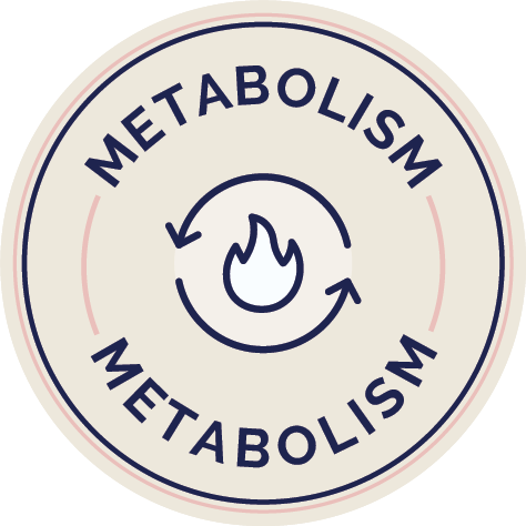 ES_Iconography_Metabolism.png