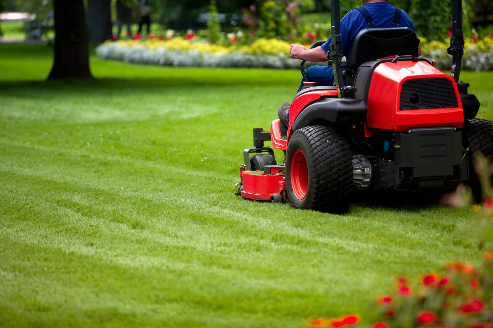 Professional lawn maintenance man mowing green grass