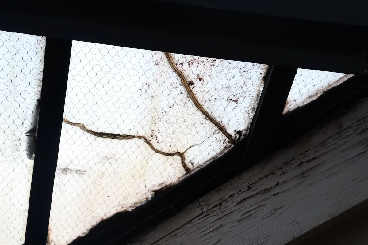 Fisher Mansion 16.jpeg