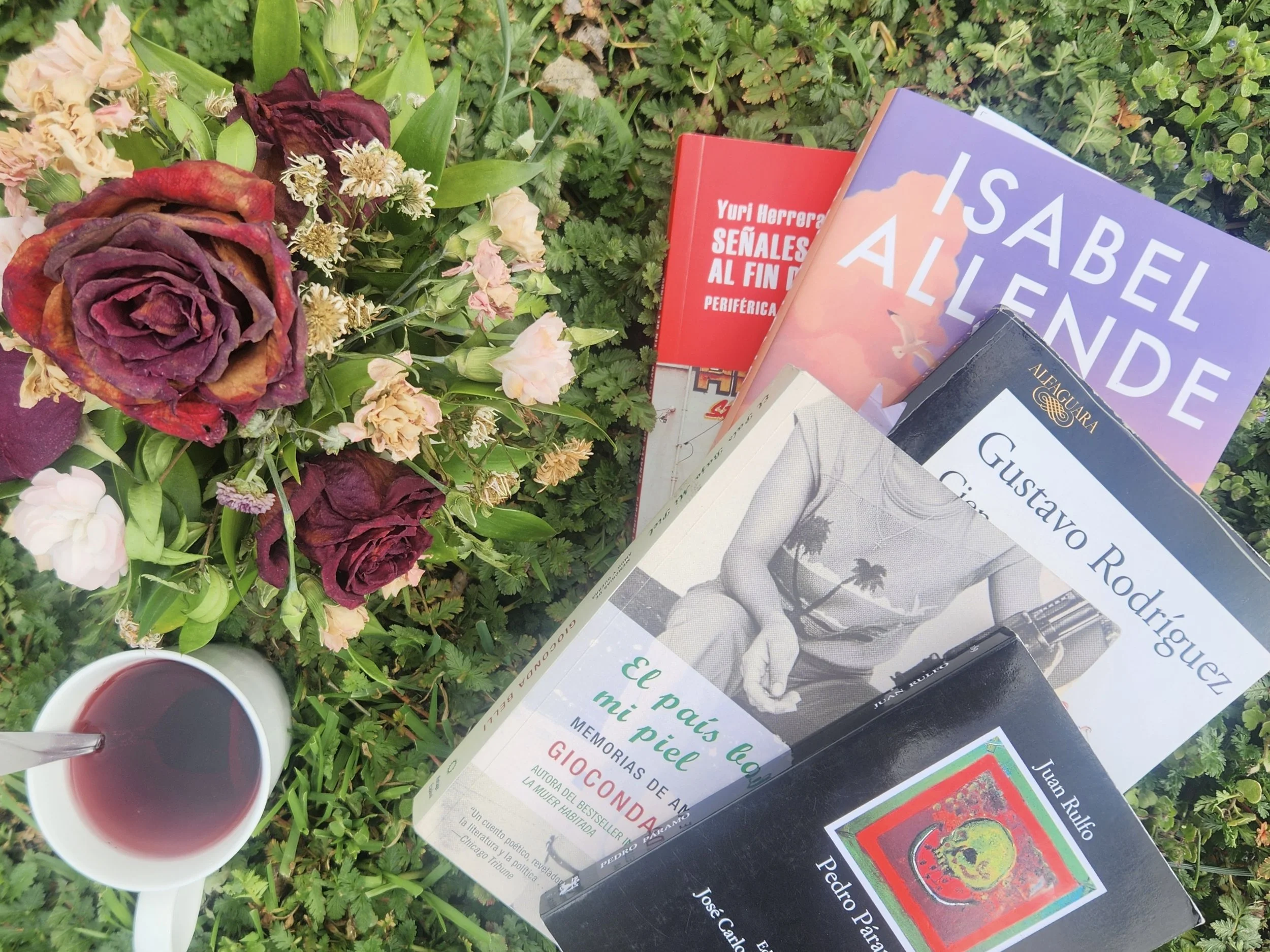 Reading out of “decadence”: How Amigos y Libros builds community through Spanish literature