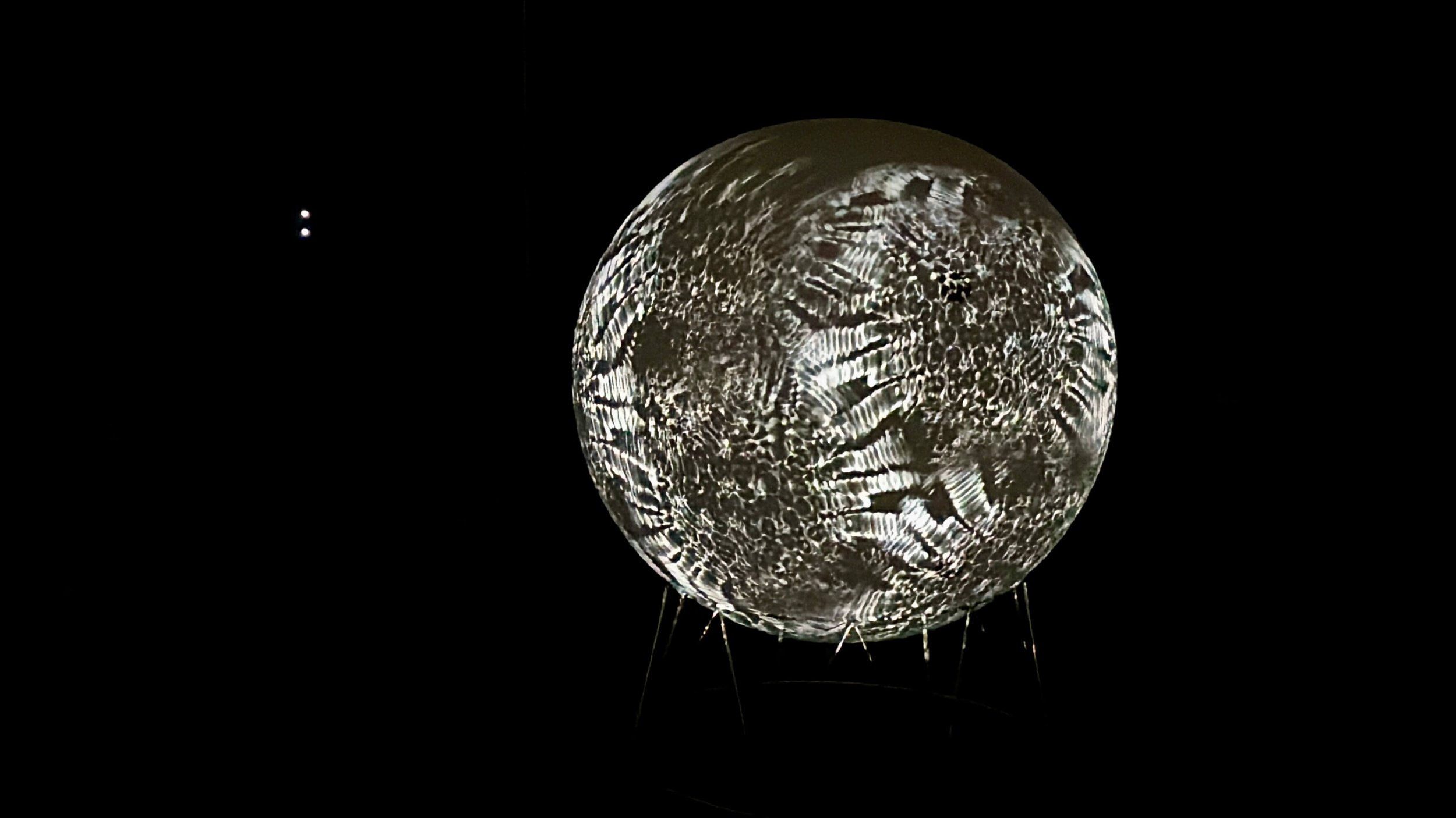 Wake the GSL Art Installation 4.jpeg