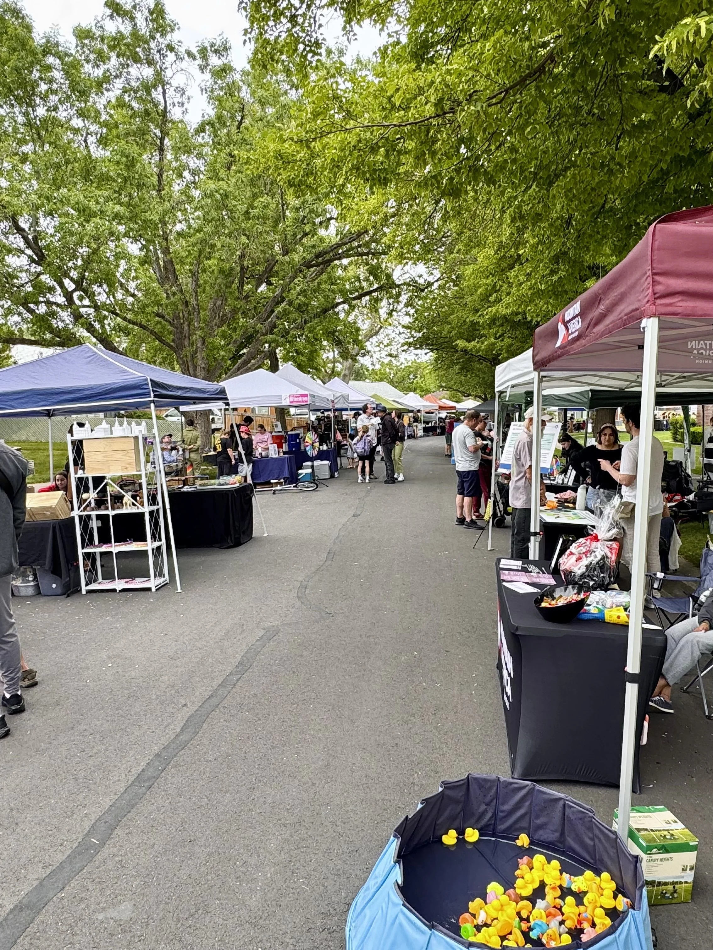 Rose Park Festival 7.jpg