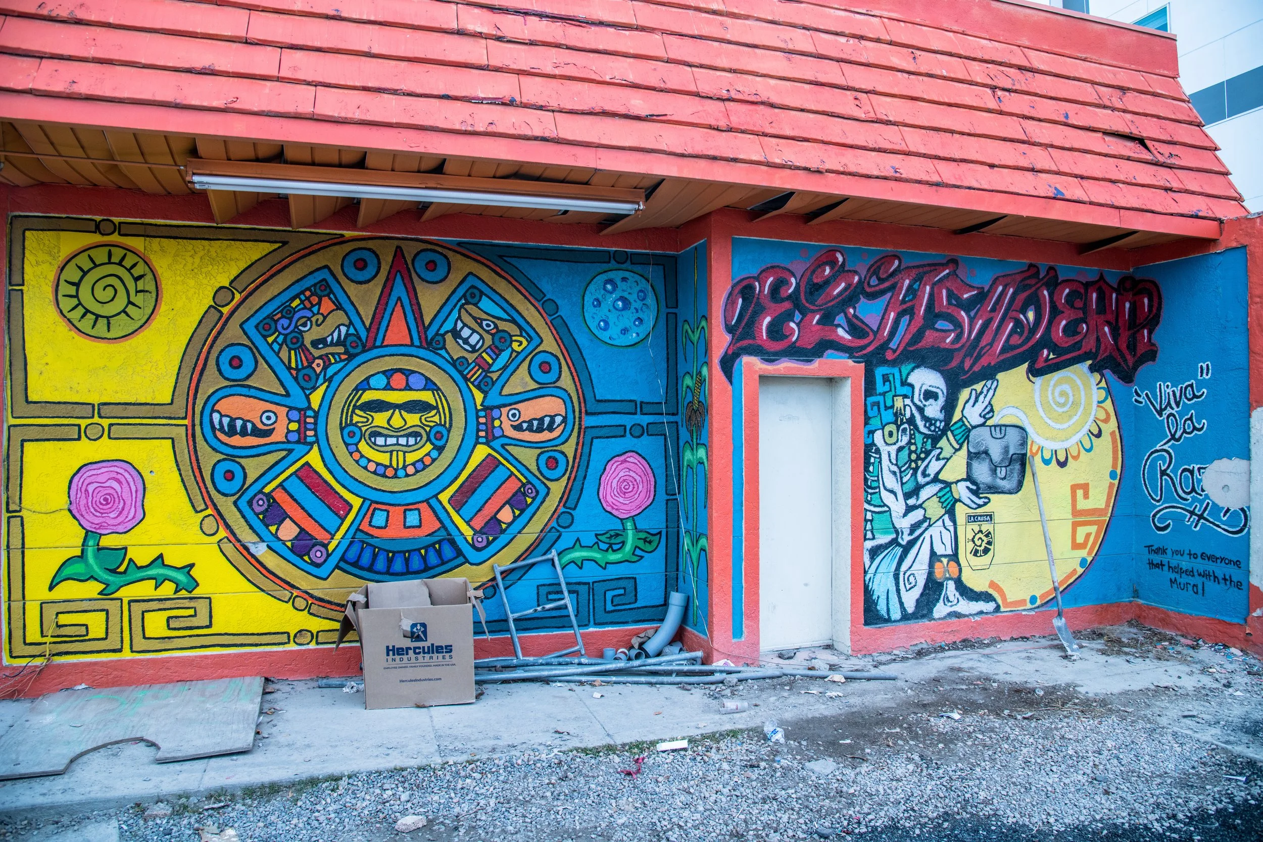 Community Spotlight: February 2026