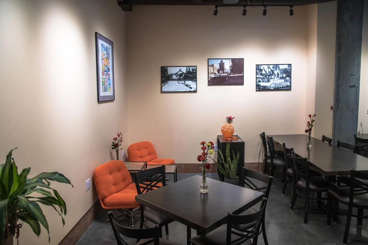 Buzzed Coffeehouse 5.jpg