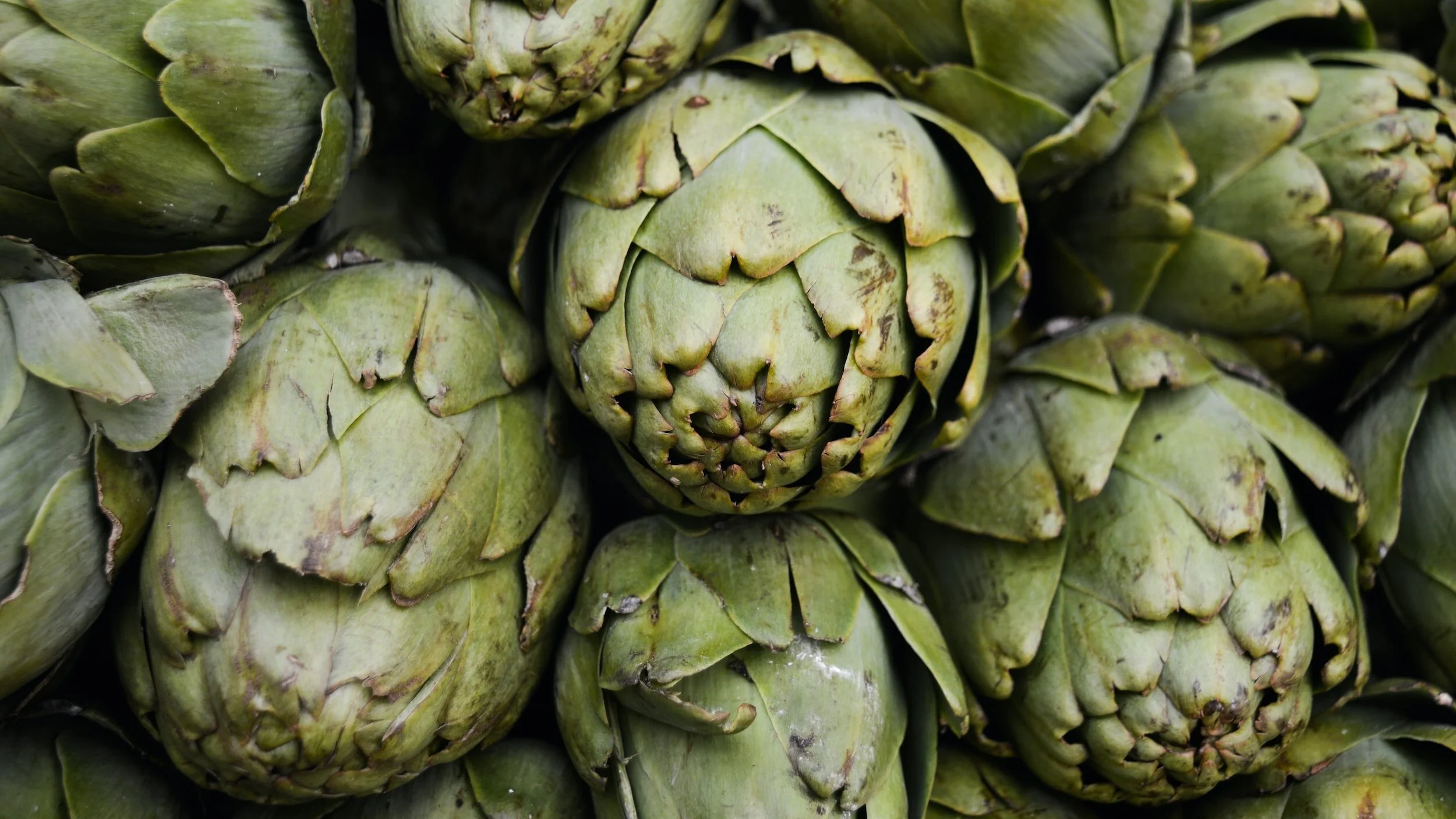 Artichokes A complete guide cauZmik