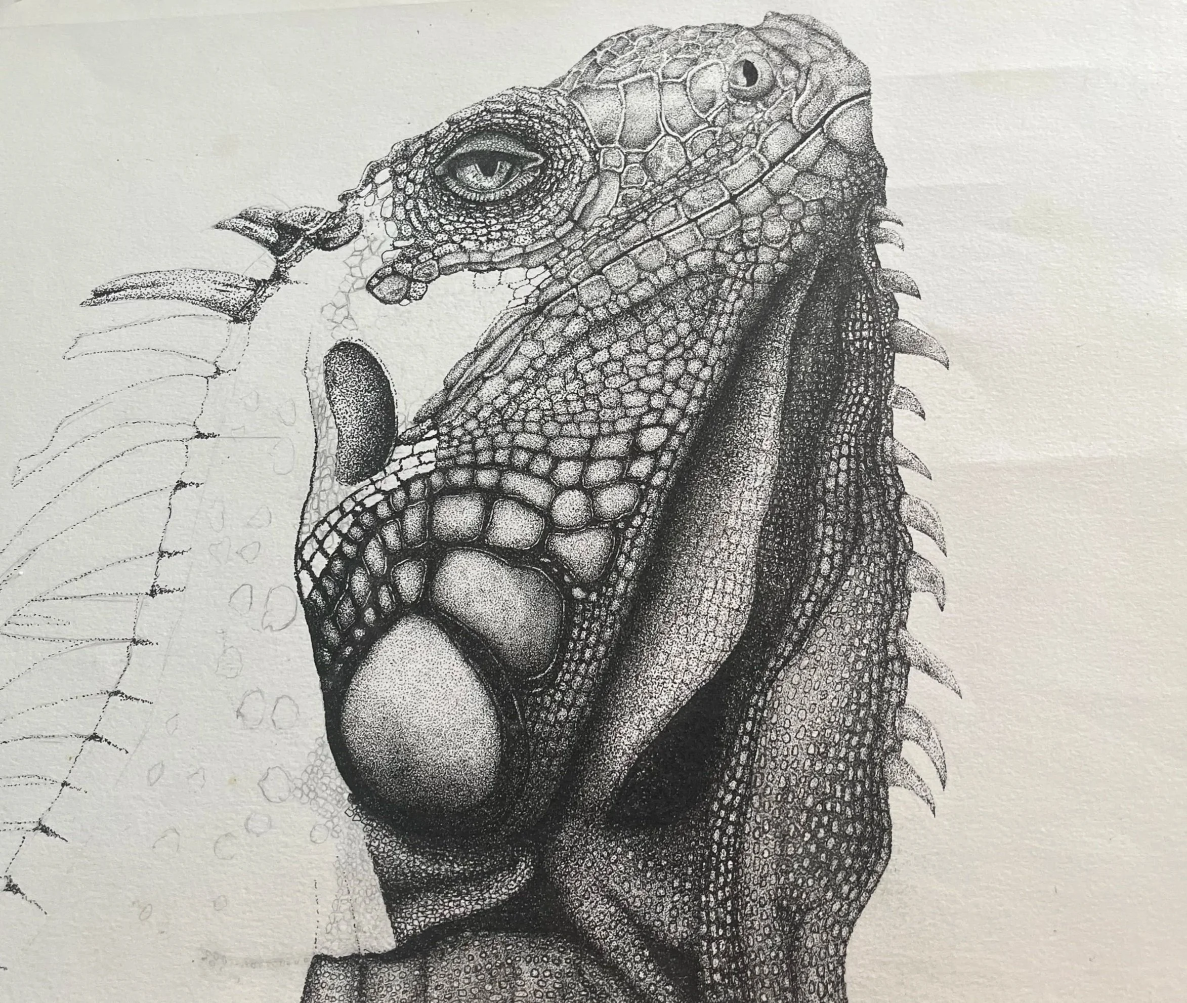 Progress of Iguana (2019)