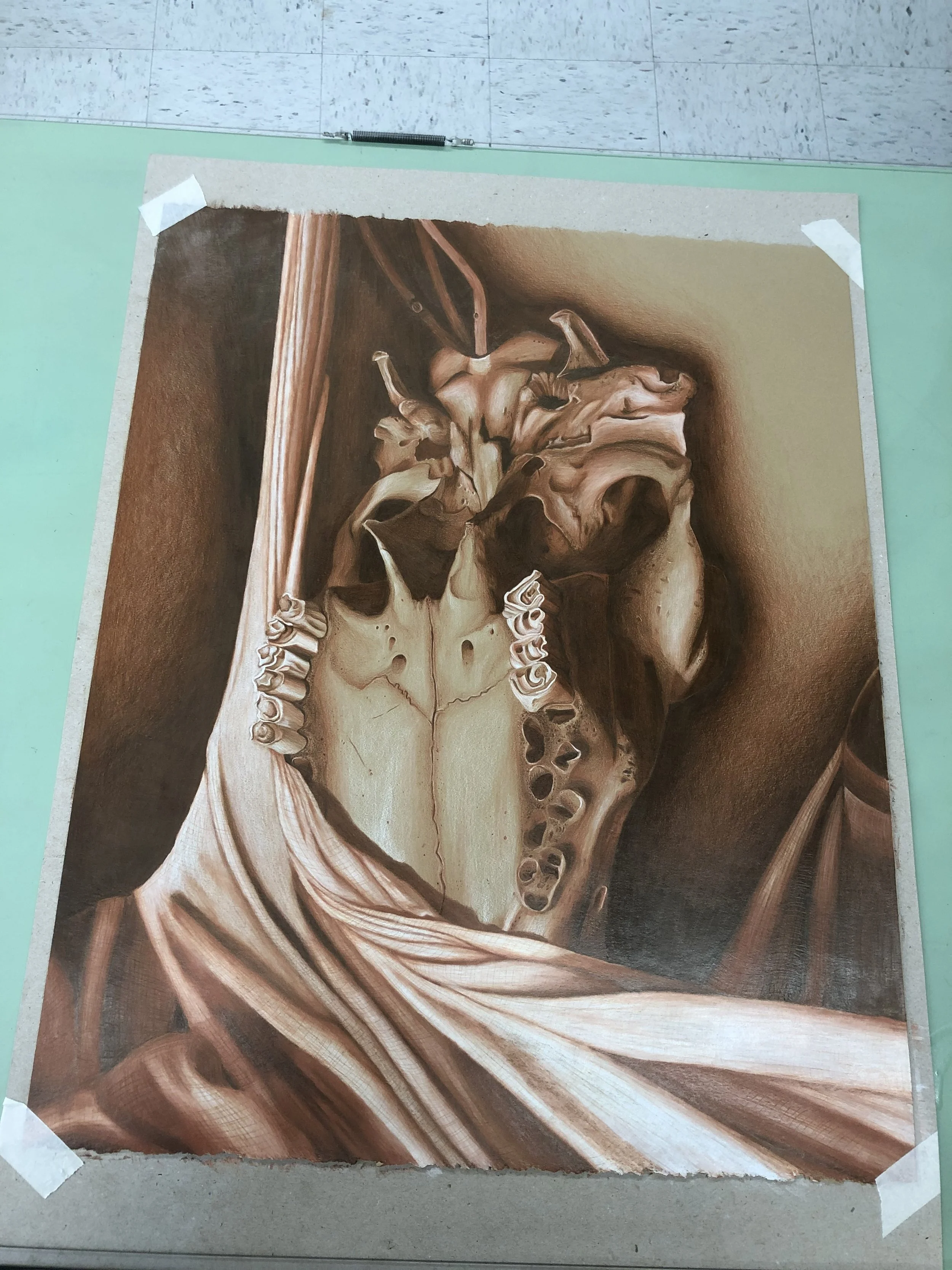 Skull Still Life (2020)