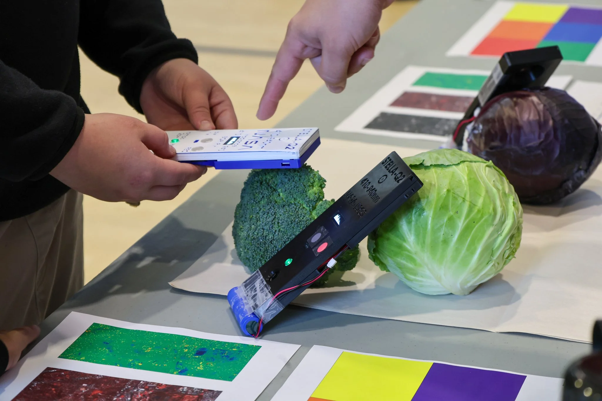 Brookland Science Fair 032026-14.jpg