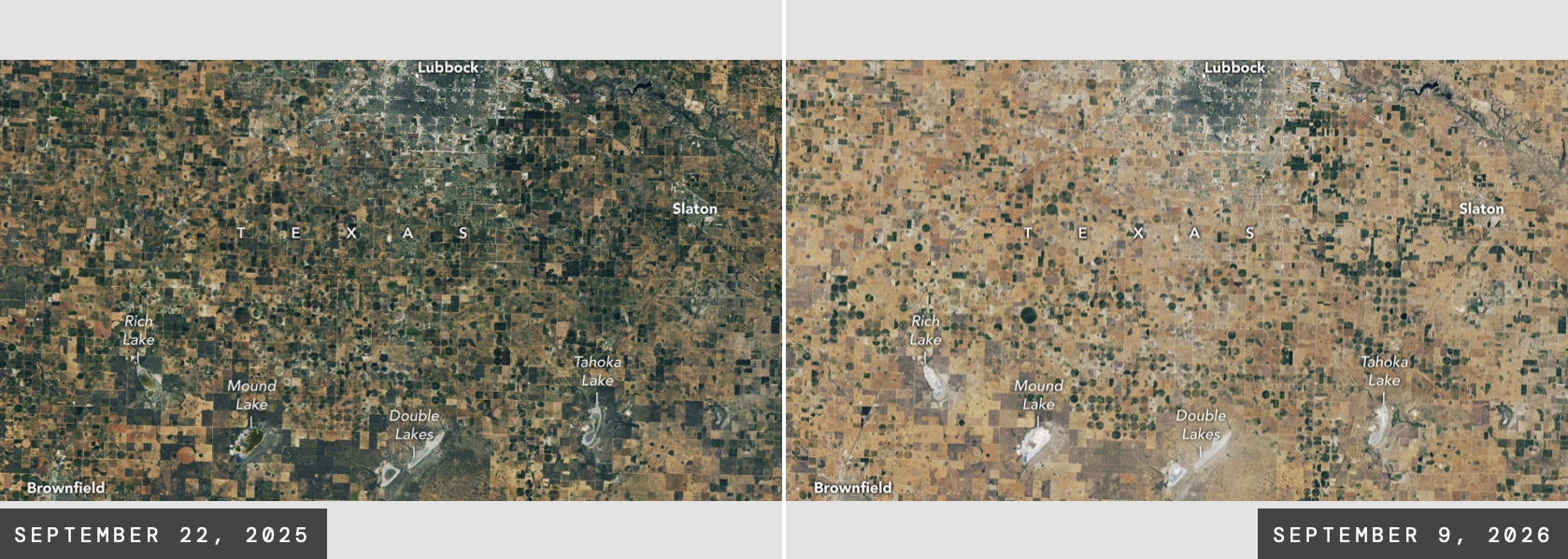 Fighting Drought in Texas&nbsp;Cotton Country