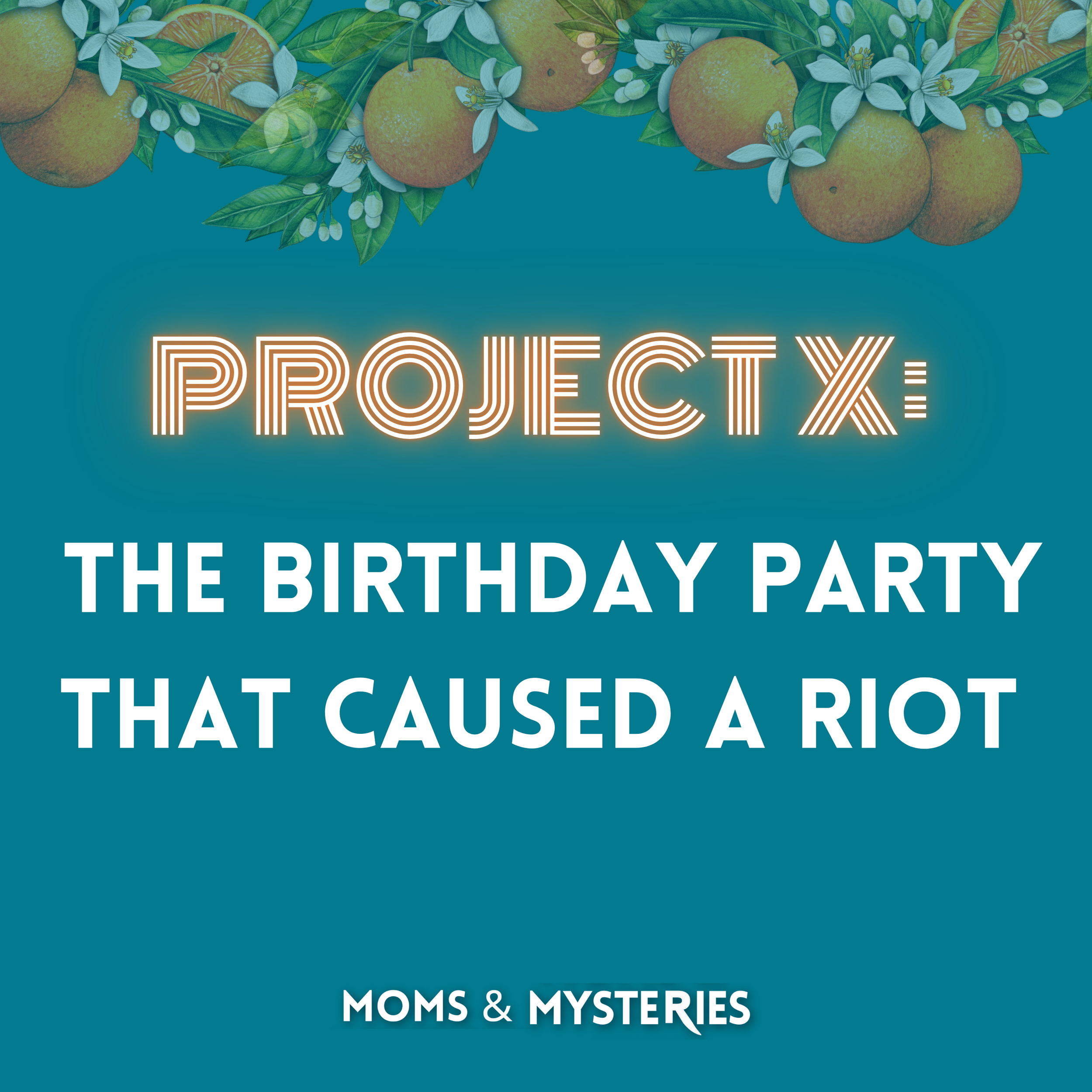 Project X: The Birthday Party That Caused a Riot