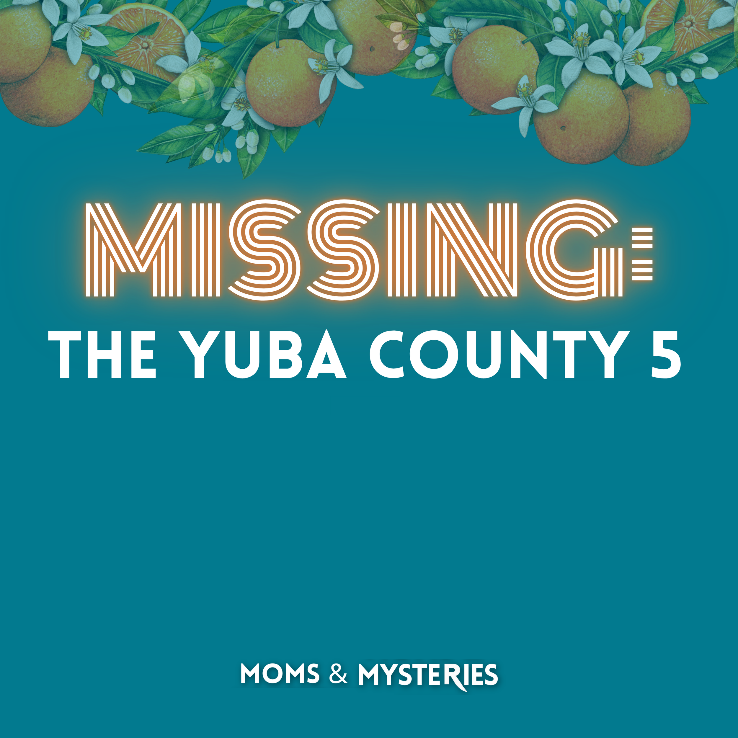 The Yuba County Five: A Baffling Disappearance in the Plumas National Forest