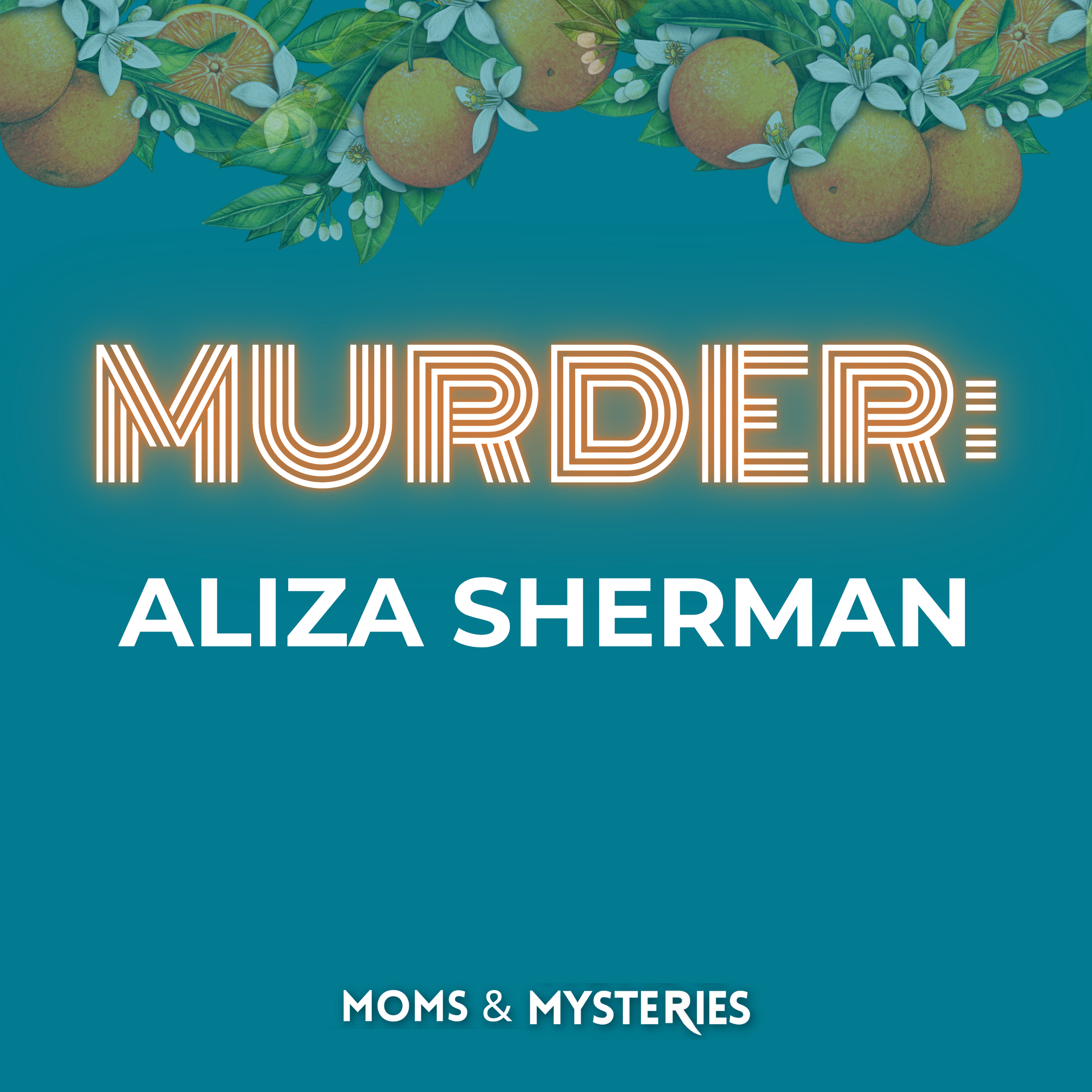 Aliza Sherman: The Attorney Accused of Her Murder