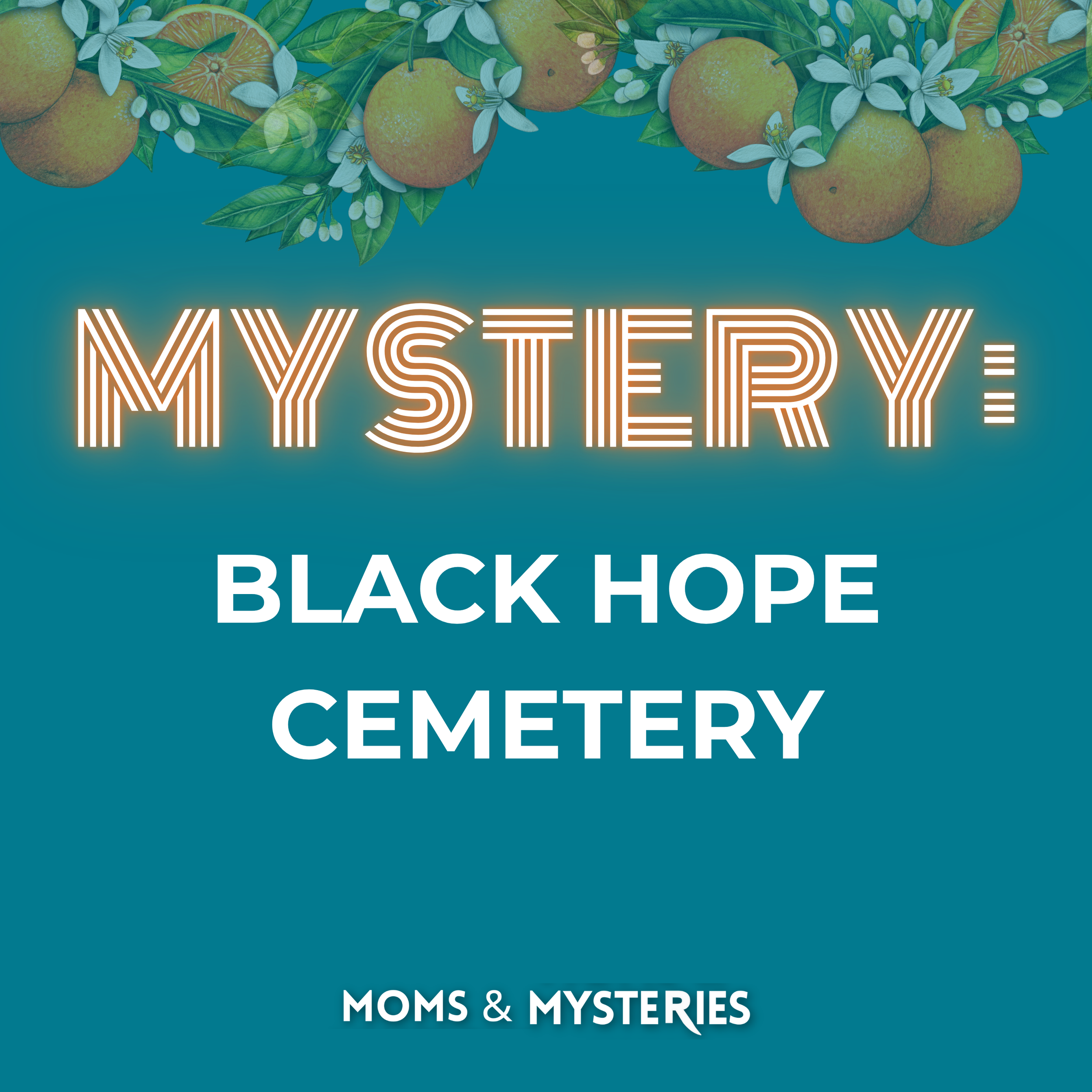 Black Hope Cemetery: Graves Beneath a Texas Subdivision