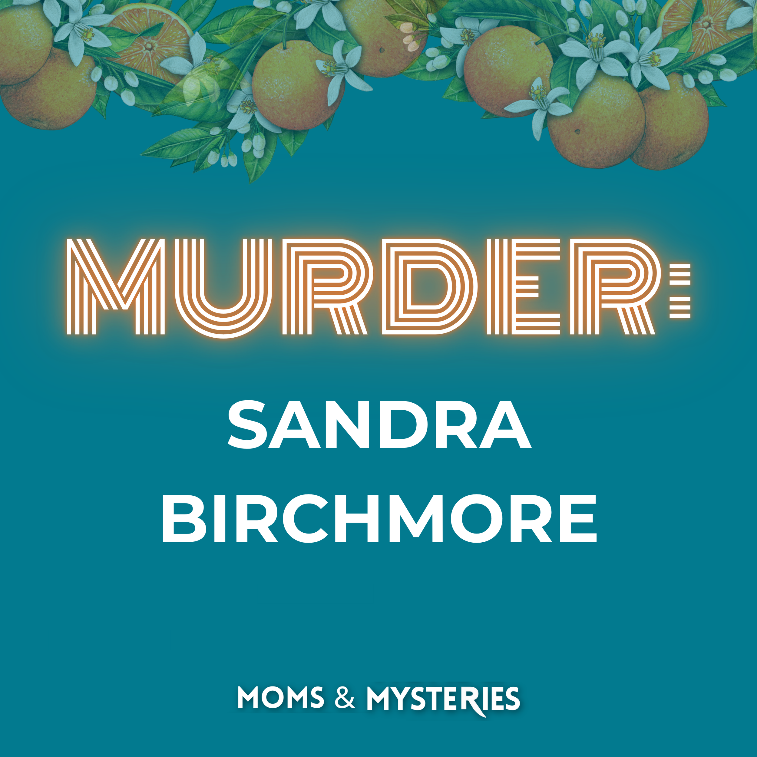 Sandra Birchmore: The Former Officer on Trial for Her Death