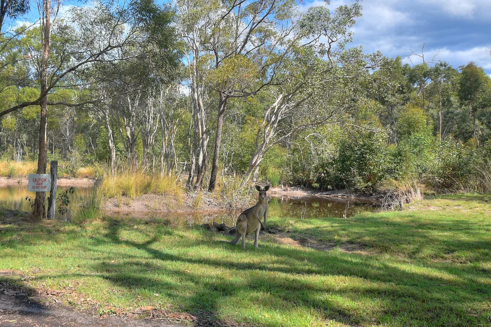 Paperbark Bush Camp