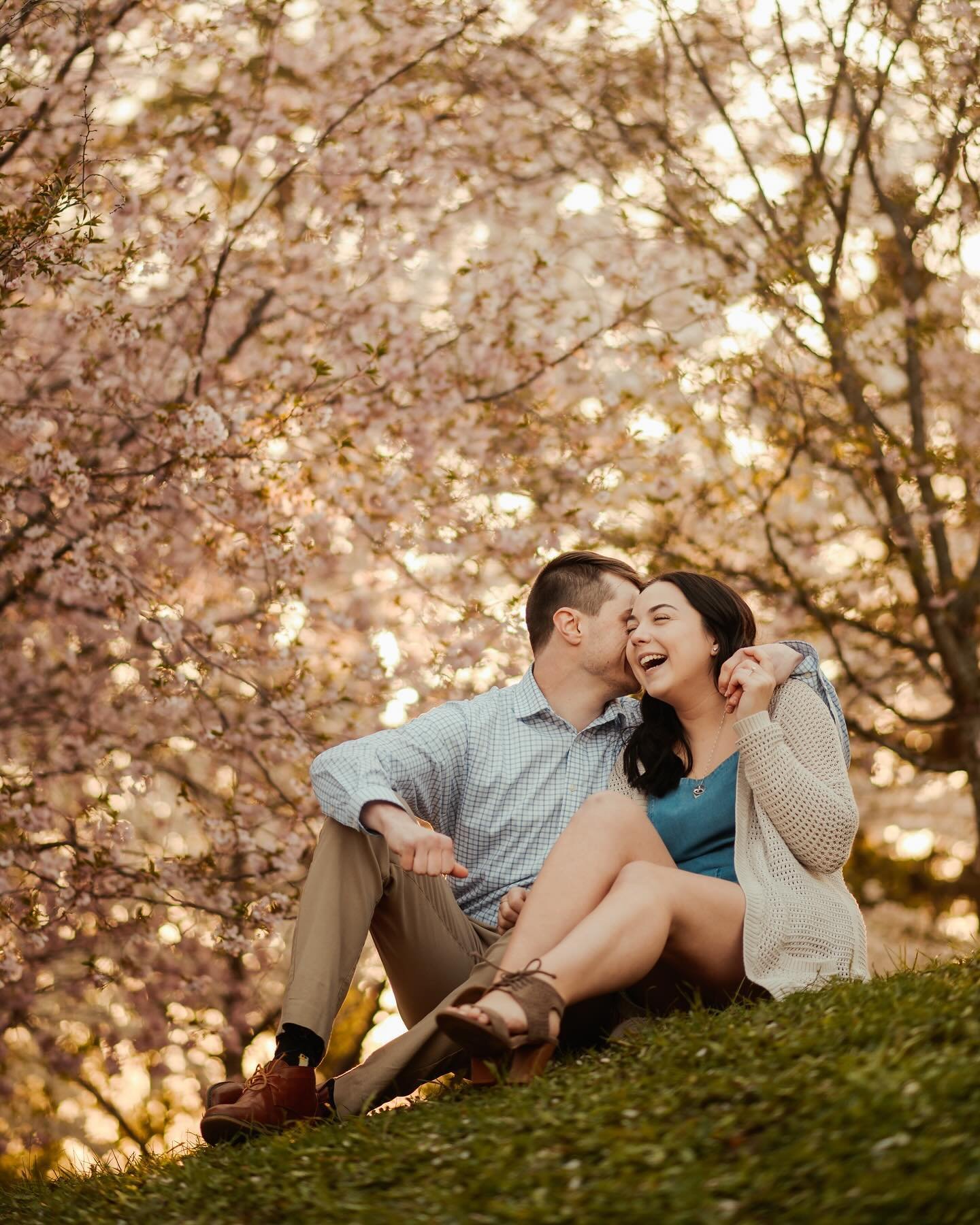 I have a little time at the end of April for cherry blossom sessions!🌸 Can be you and your S/O, family or even senior/graduation. 

Can&rsquo;t wait for this couple&rsquo;s wedding in May!