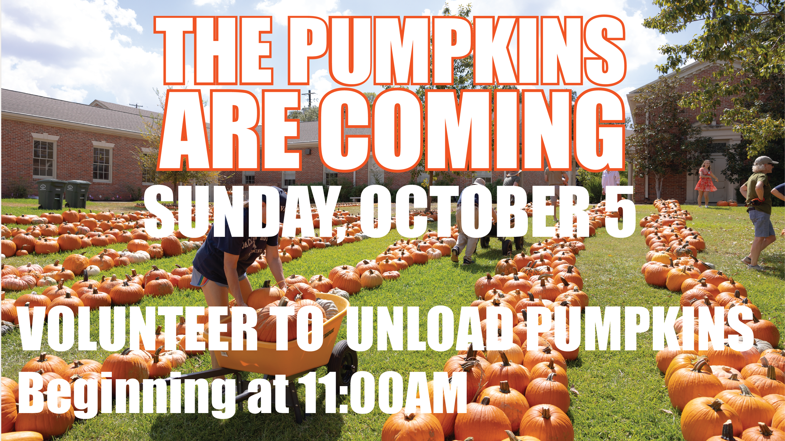 Pumpkin Unloading