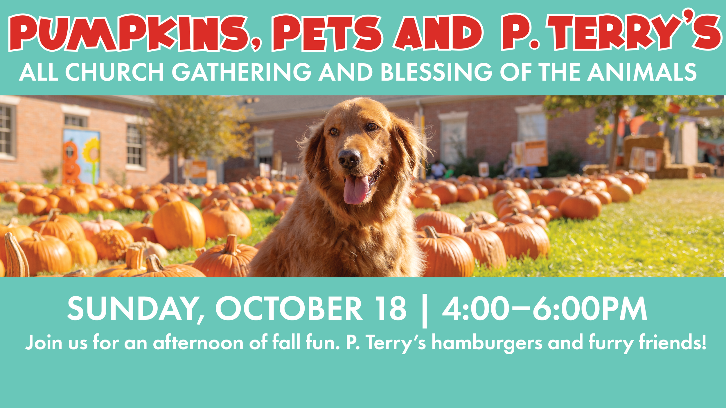 Pumpkins, Pets, and P. Terry's