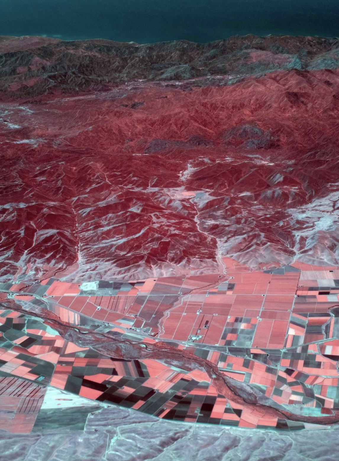 Screen Shot 2022-11-18 at 12.12.27 PM.png