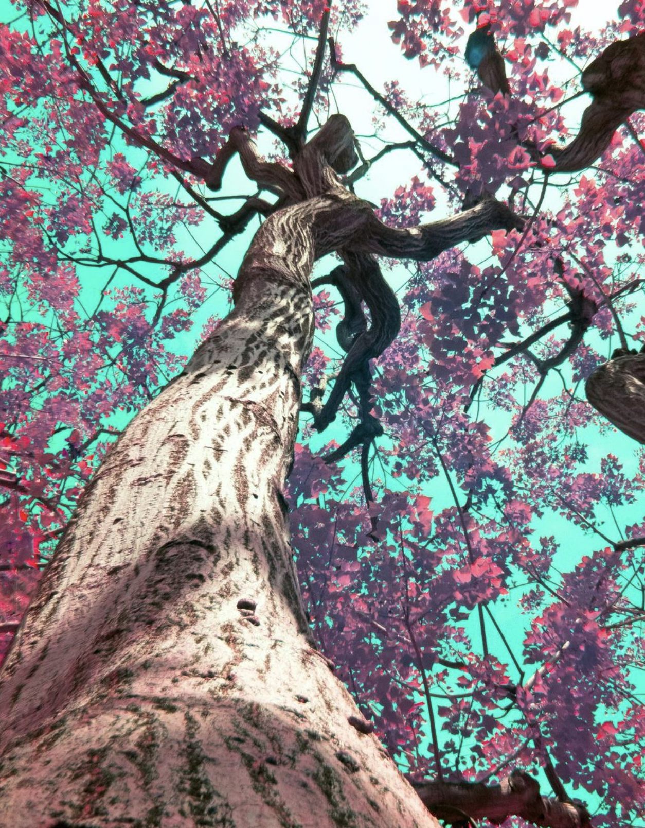 Screen Shot 2022-11-18 at 12.12.16 PM.png