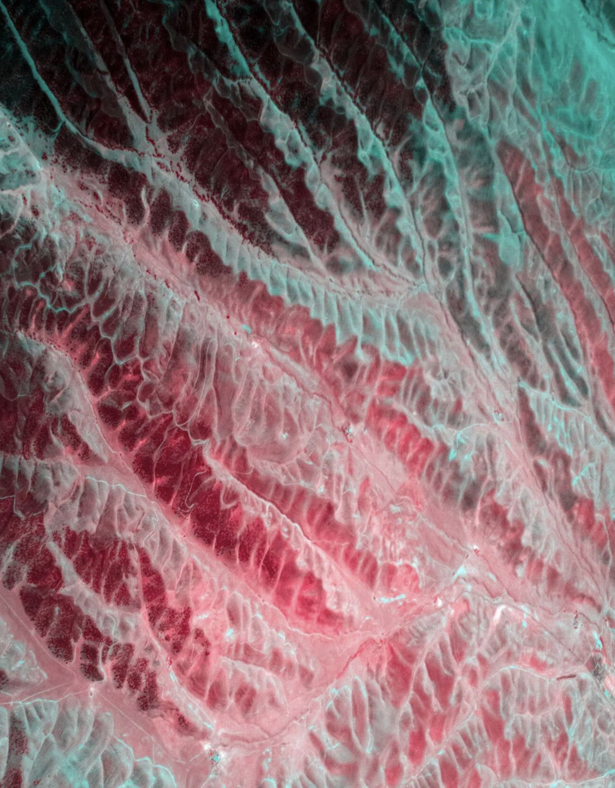 Screen Shot 2022-11-18 at 12.12.21 PM.png