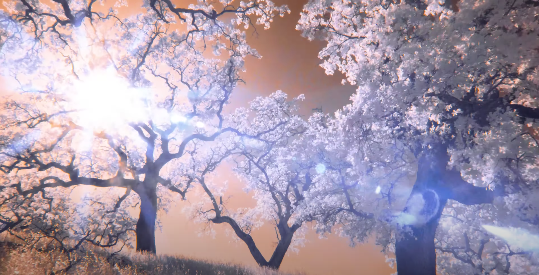 Screen Shot 2021-06-04 at 1.22.59 PM.png