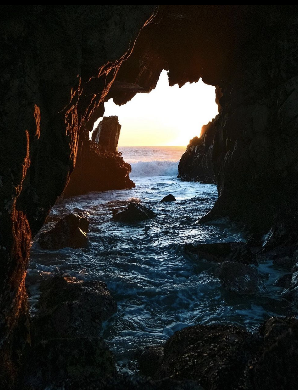 Screen Shot 2022-11-18 at 12.12.40 PM.png