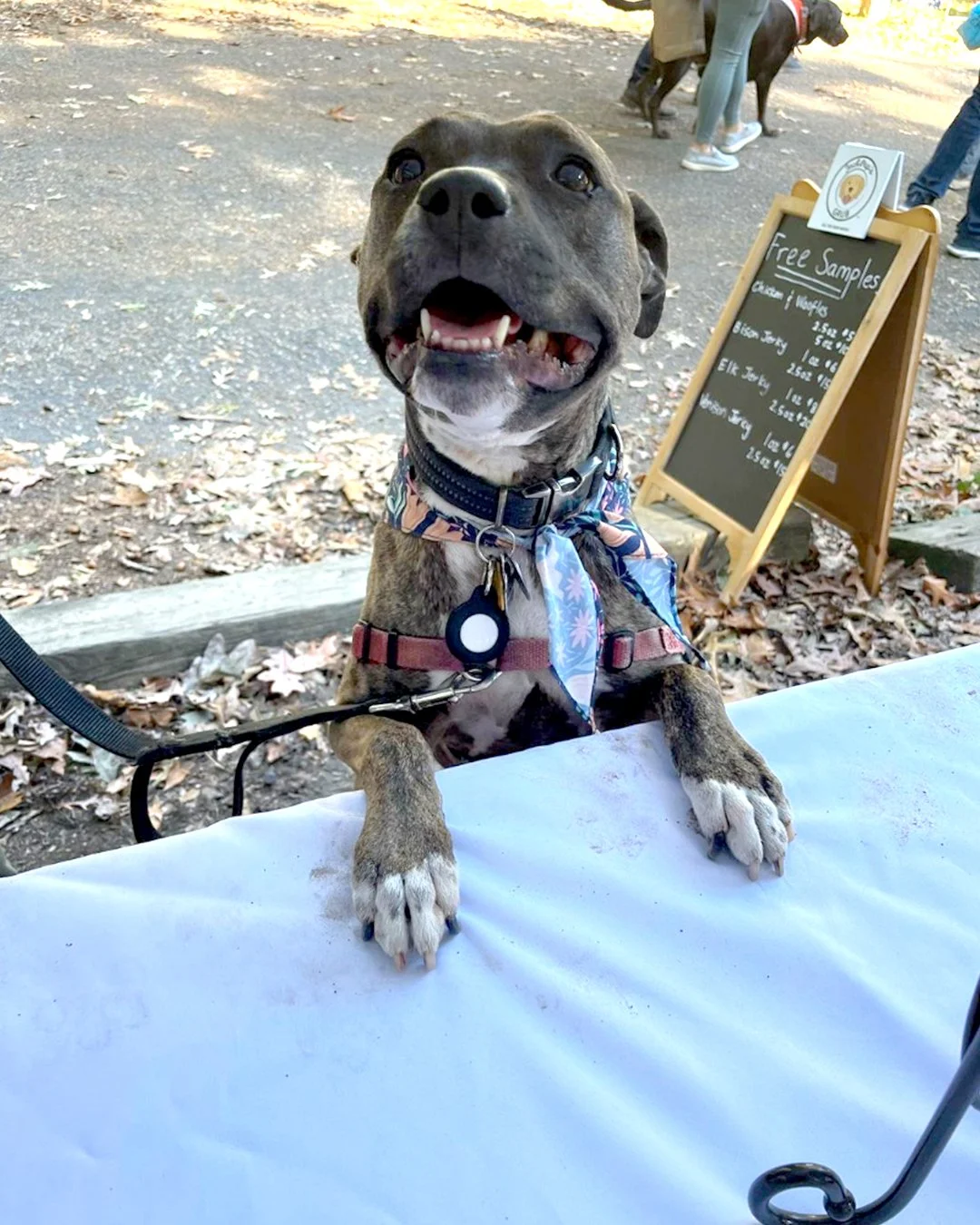 2023_1080x1350_Luna_Venison.jpg