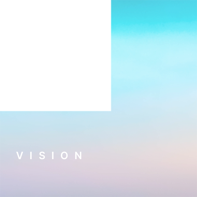 Vision