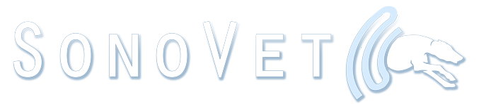 Client Spotlight: Itsuki Mueller - Sonovet