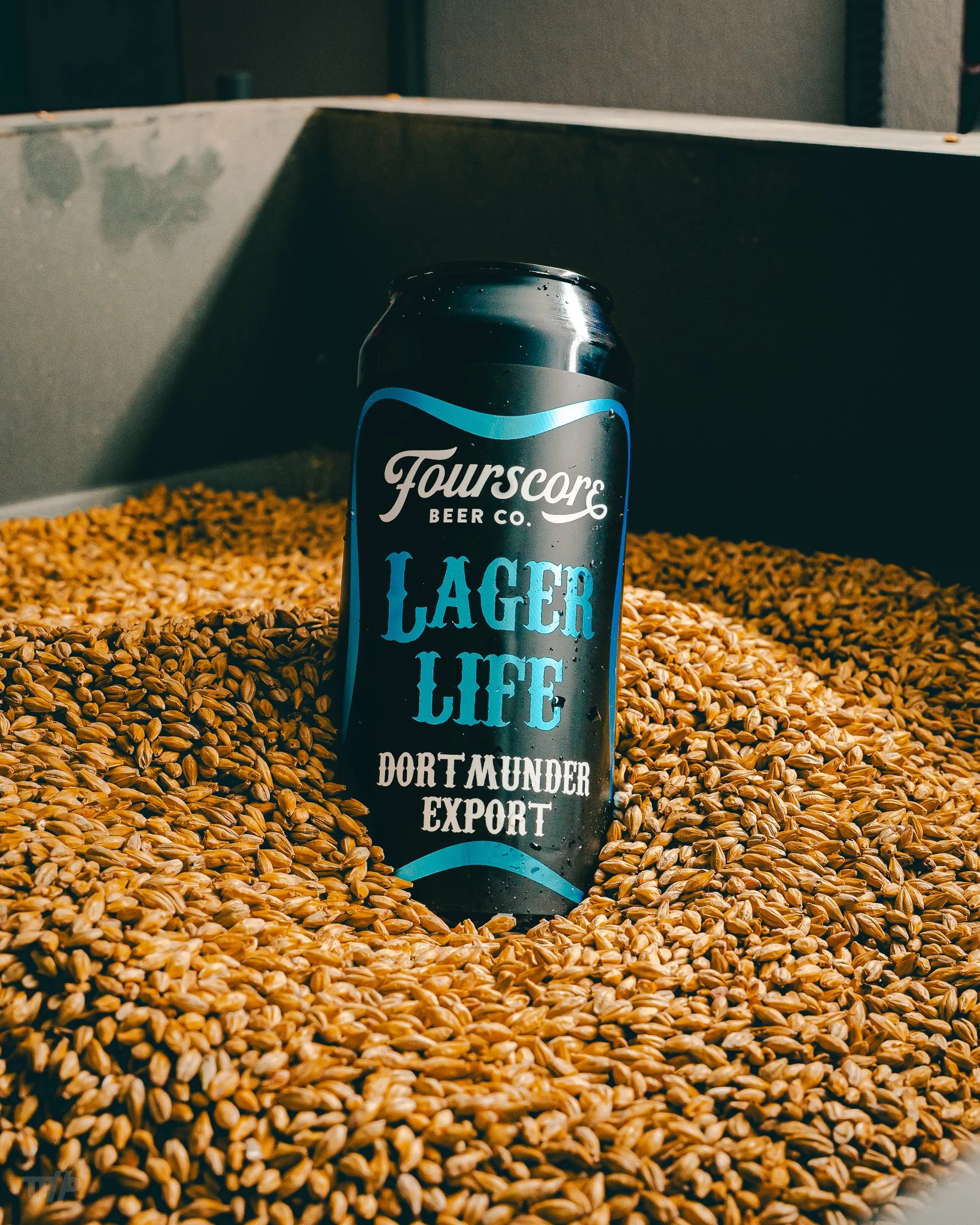 [ FOURSCORE ] DORTMUNDER-5.jpg