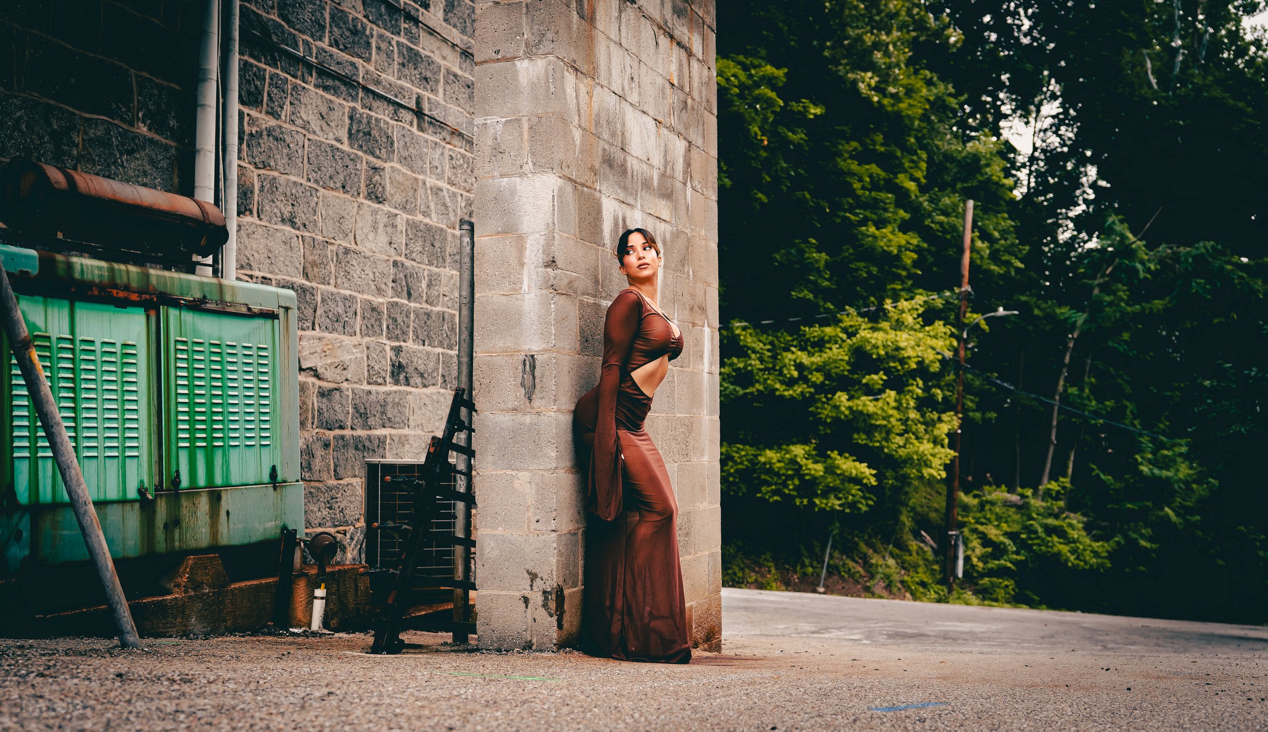 TRTH IS. Maria. BRWN DRESS-3.jpg