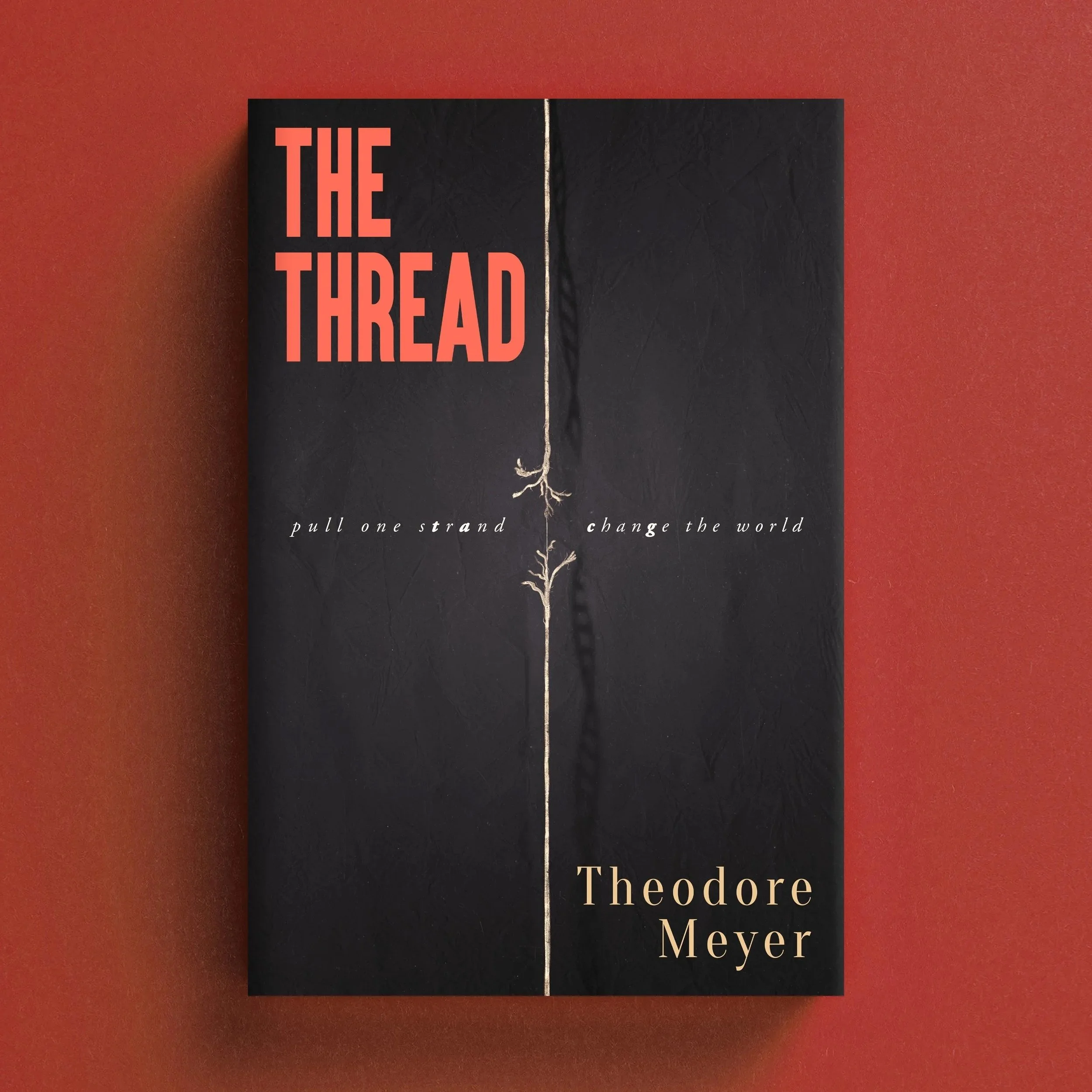 Cover of 'The Thread' by Theodore Meyer