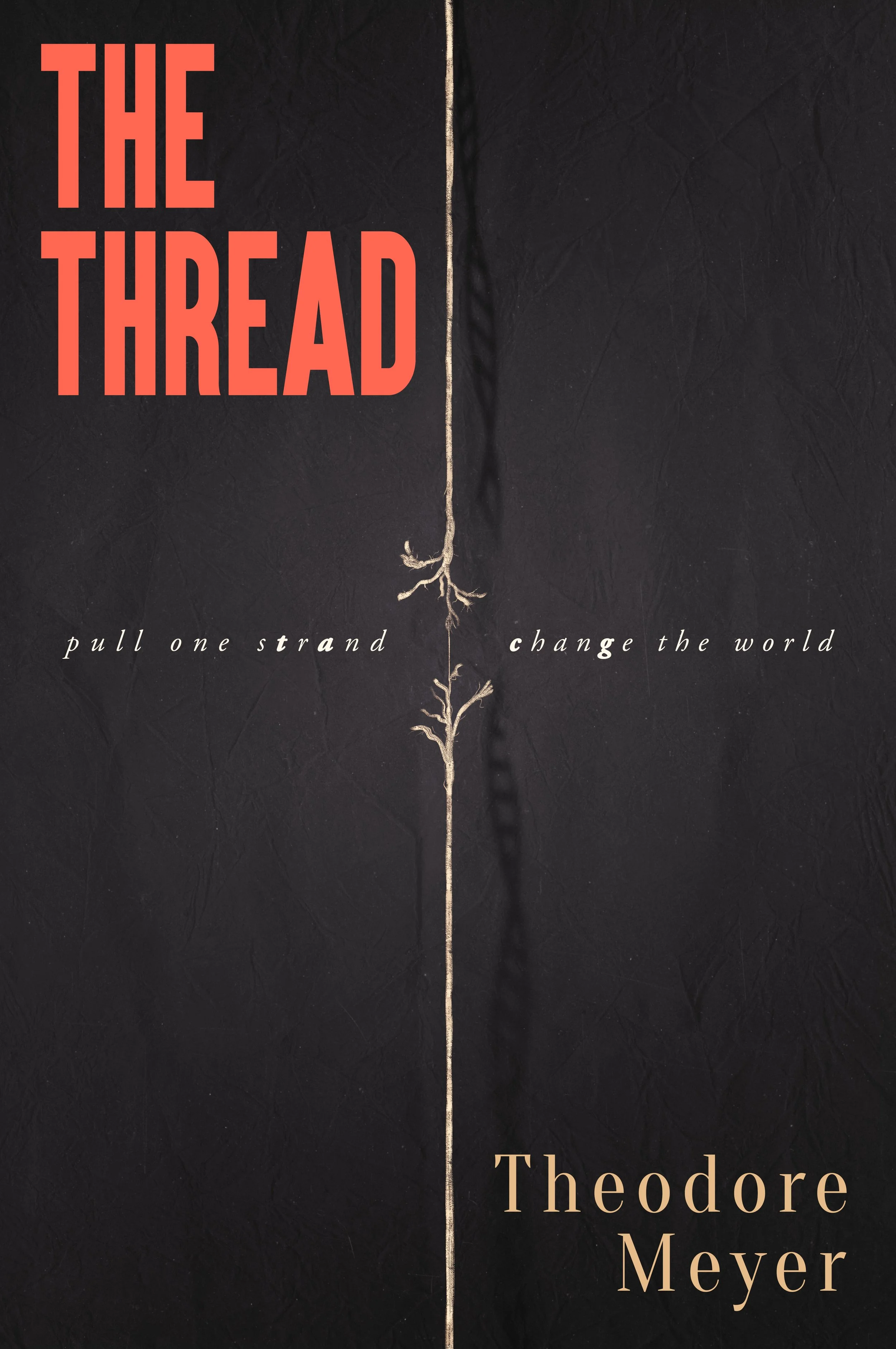 Cover of 'The Thread' by Theodore Meyer