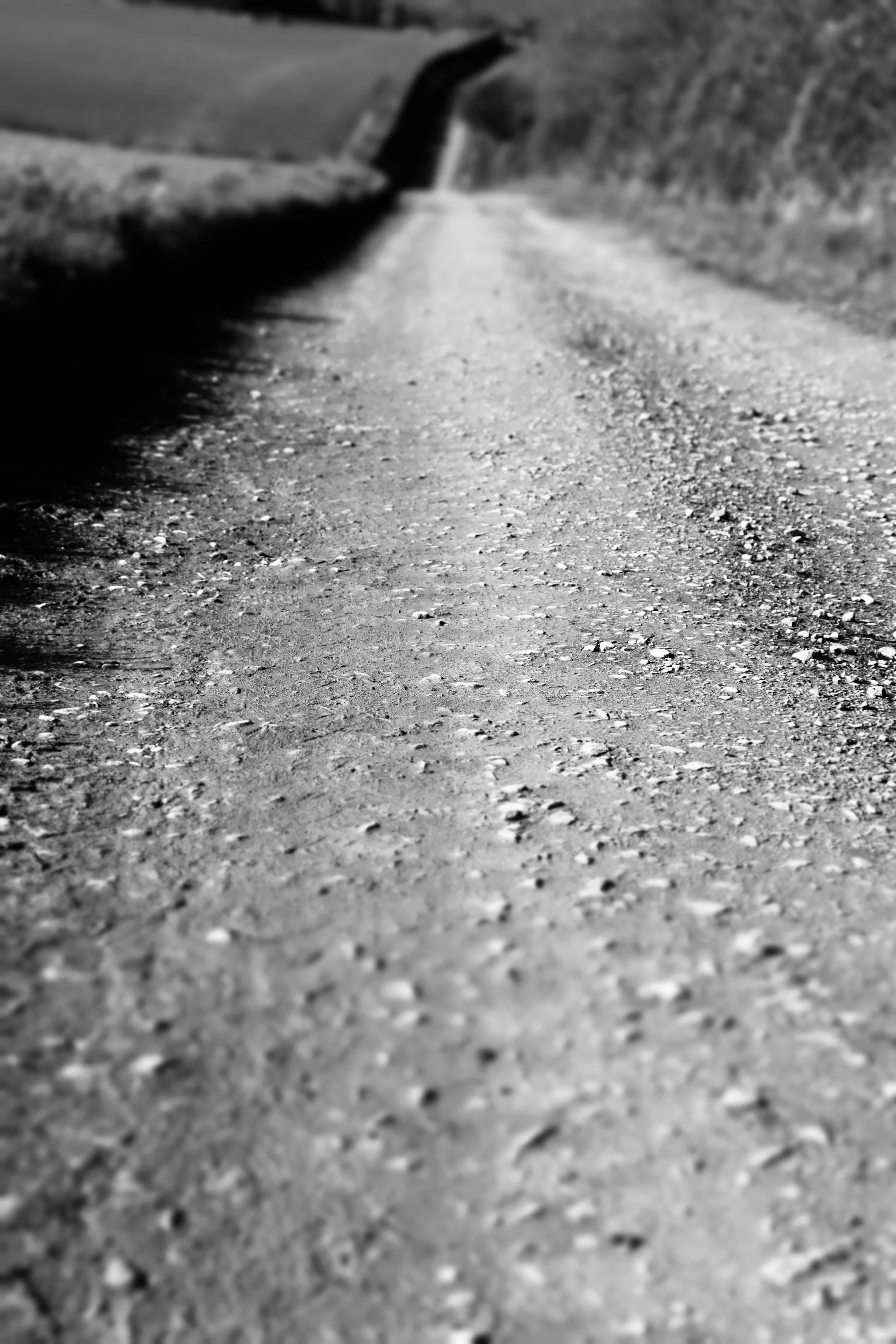 Black-and-white photo of a dirt road, accompanying the 'Writing Routine' article by Theodore Meyer