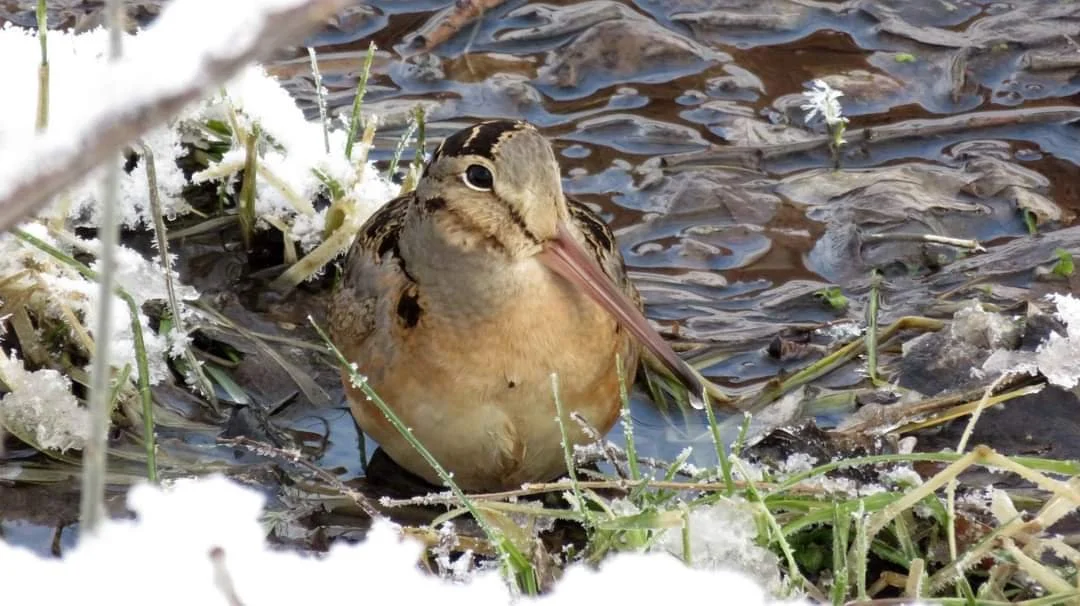 FB_IMG_1704944286775 (1).jpg