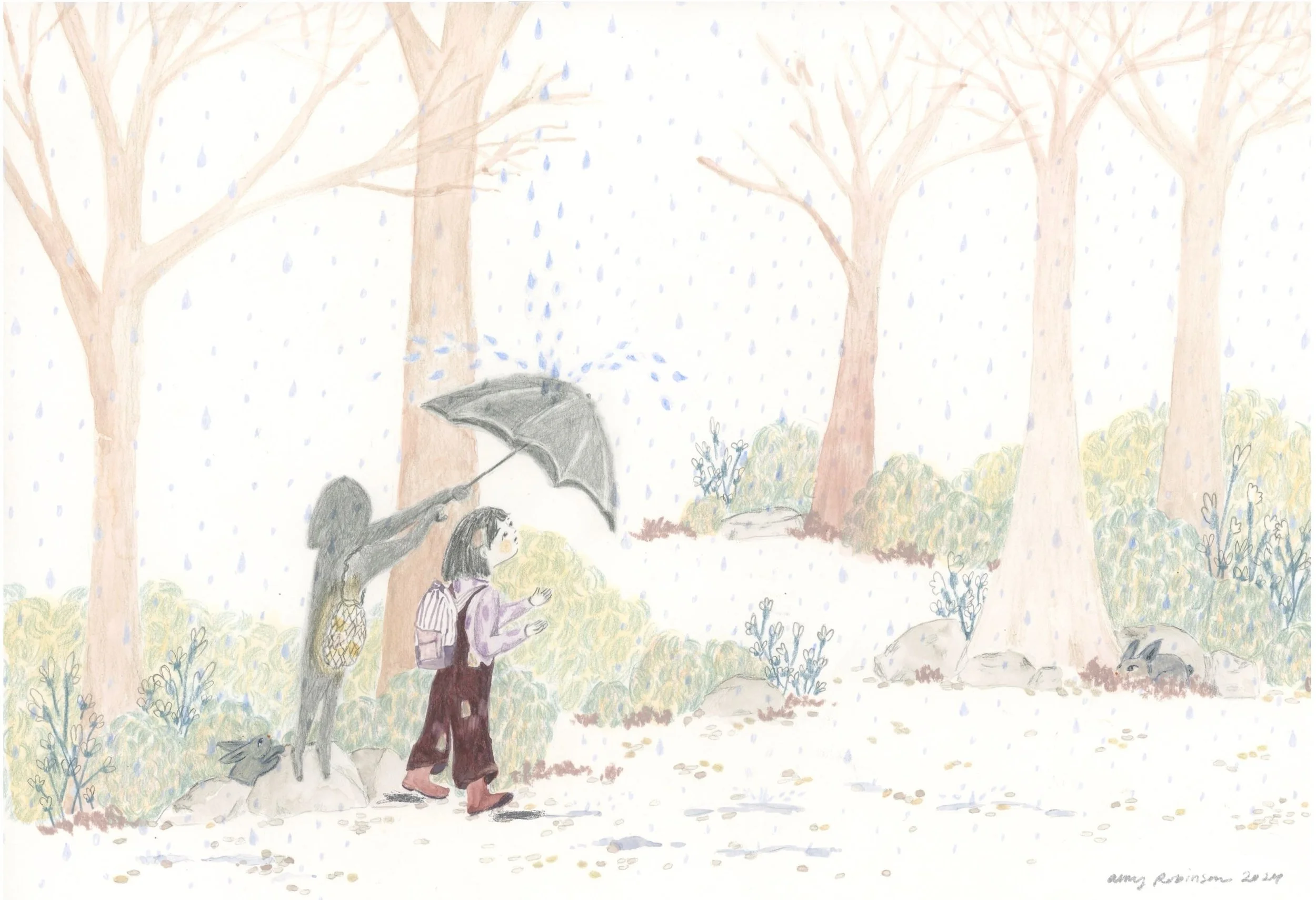 Rain Shadow Amy Robinson copy.jpeg