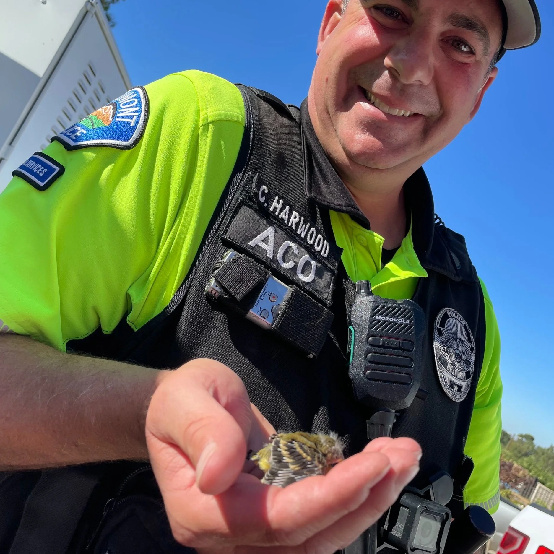 Don’t Steal That Baby!!!