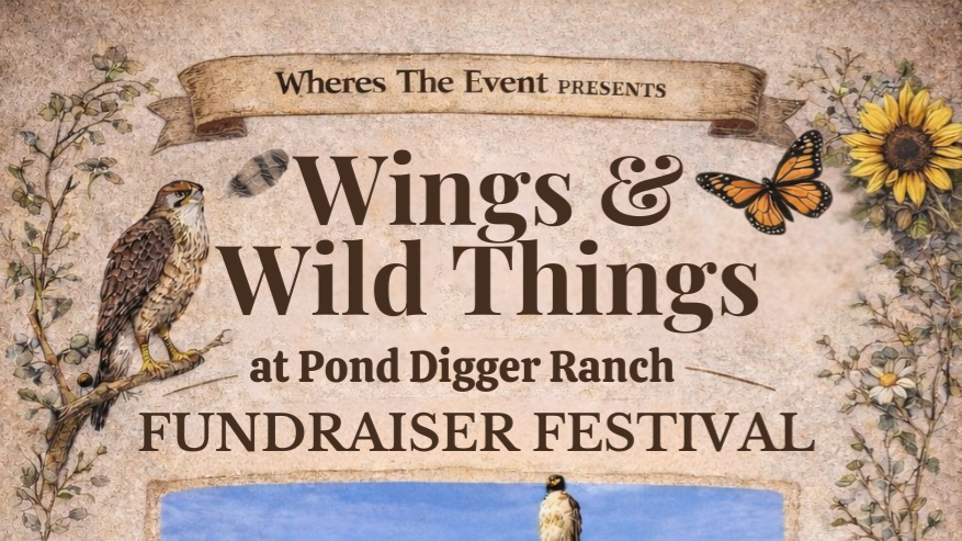 Wings and Wild Things