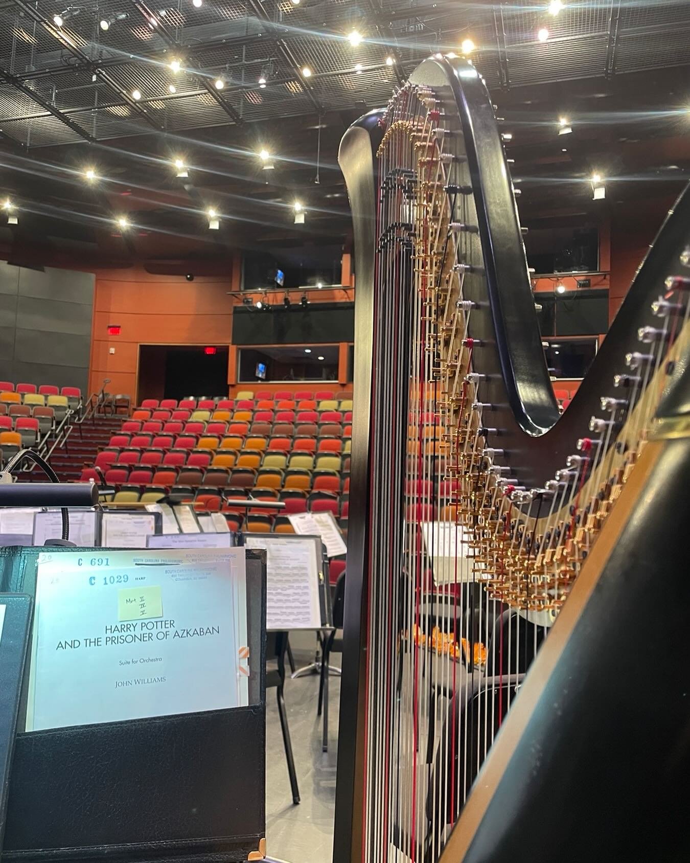Tis the season&hellip; for Harry Potter! with 
@scphilharmonic 

#avlharp #avlharpist #harp #harpist #harplife #harrypotter #johnwilliamsmusic
