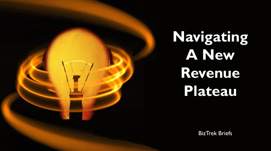 Navigating A New Revenue Plateau