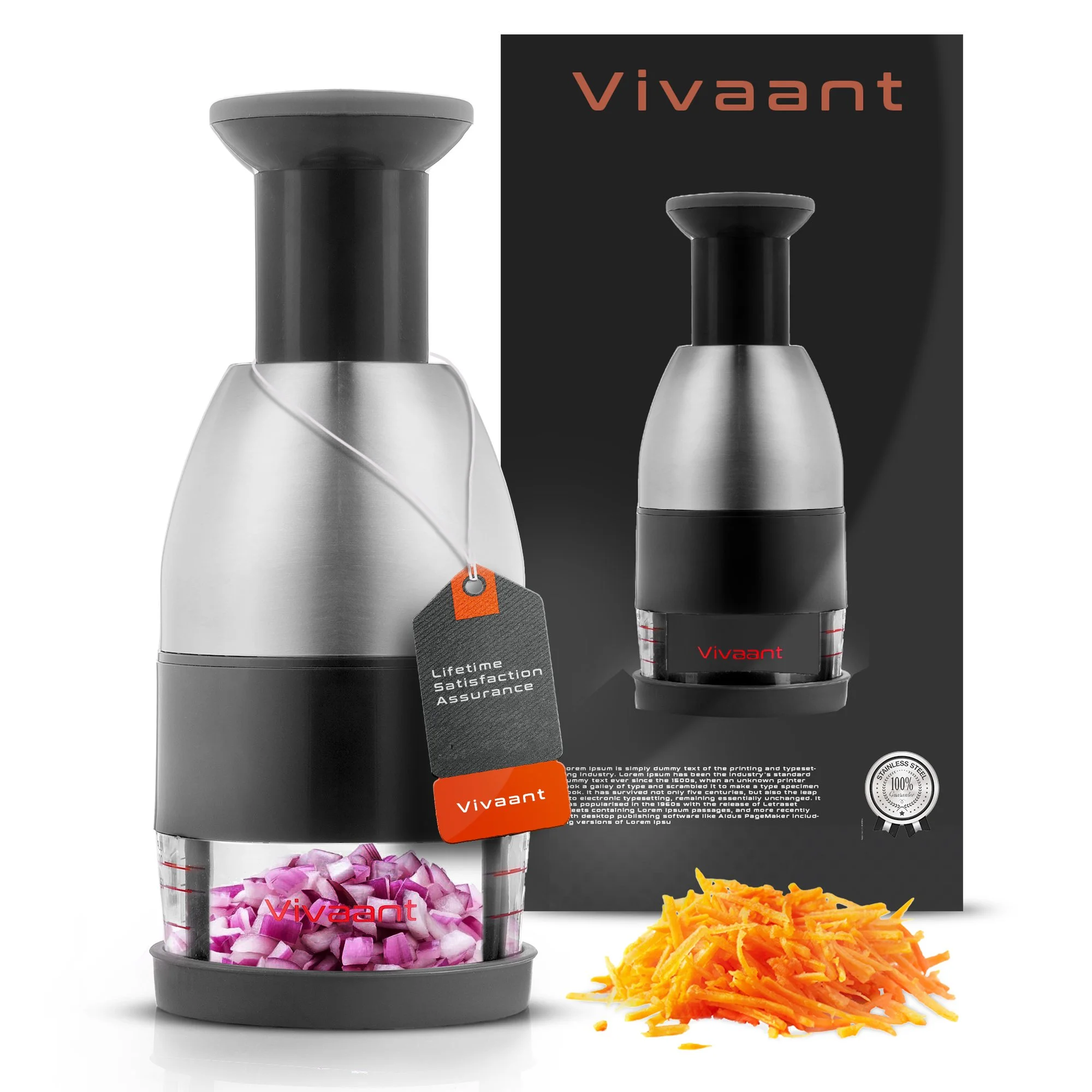 NEW secko vivaant main 2 copy.jpg